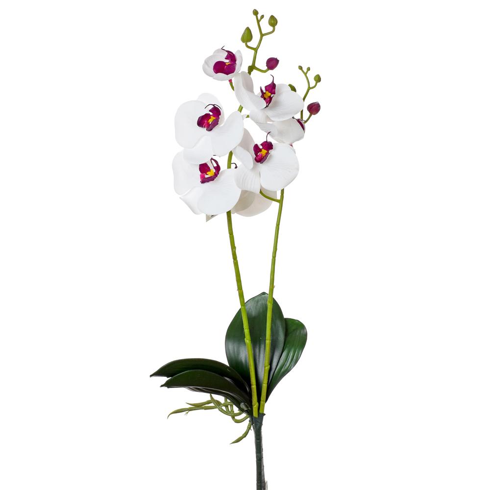 ORCHIDEJ 2 VÝHONKY 55CM bílorůžová_1